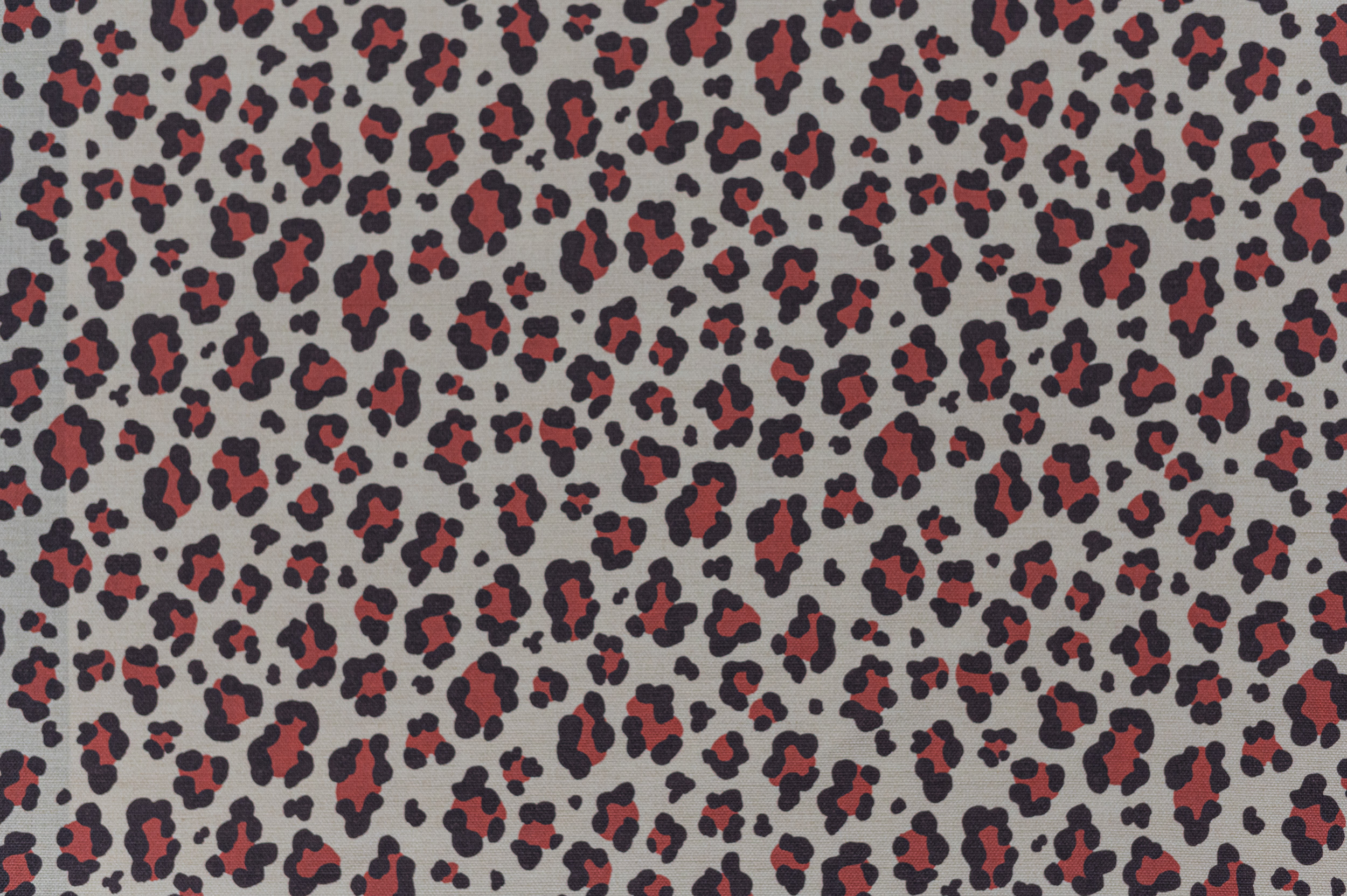 leopard Spot 3